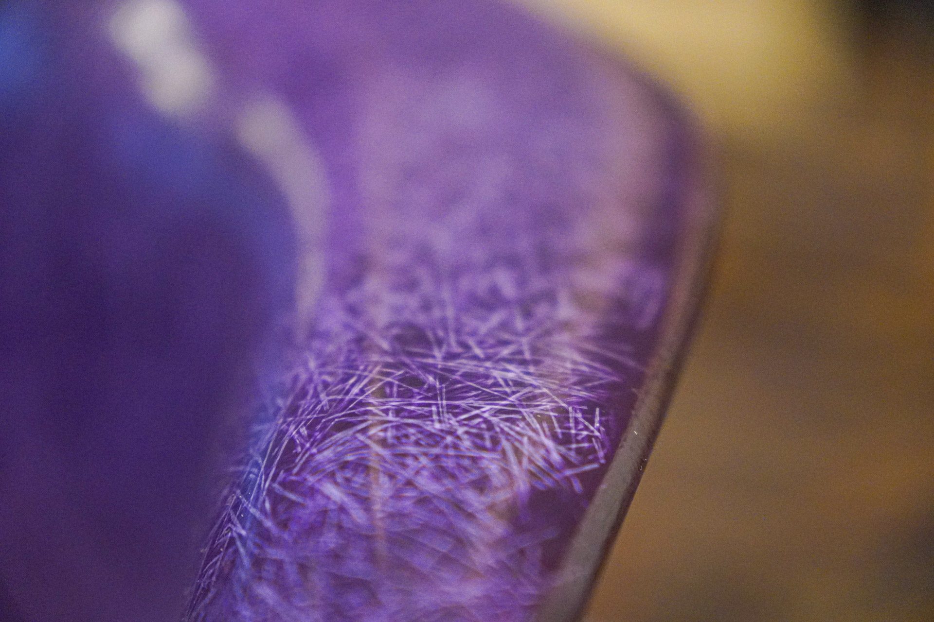 MODERNICAのサイドシェルチェア